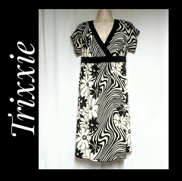 Trixxi Dresses & Skirts - Trixxi Black Cream Floral Stripes Dress Size 18 Trixxi Dresses & Skirts - Trixxi Black Cream Floral Stripes Dress Size 18